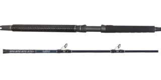 Star Rods PII2040C66 Plasma II Boat Conventional Rod - 6 ft. 6 in.