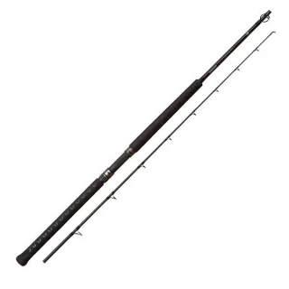 Shimano Teramar West Coast Inshore Conventional Rods