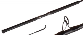 Shimano Teramar Inshore West Coast Spinning Rods