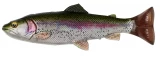 Savage Gear 4D Splitfin Pulse Tail Trout Lure - 6in - Trout