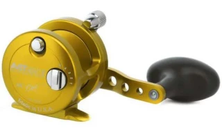 Avet SXJ 5.3 MC Single Speed Lever Drag Cast Reel Left-Hand Gold