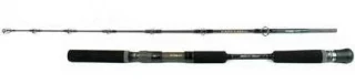 Black Hole Cape Cod Special Jigging Rods - 2pc Conventional