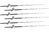 Shimano Talica TAC20BFC / TackleDirect Platinum Hook White Marlin Combo