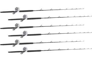 Shimano Talica TAC20BFC / TackleDirect Platinum Hook White Marlin Combo