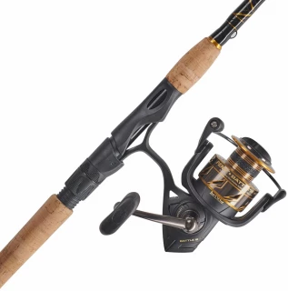 Penn BTLIII2500701ML Battle III Spinning Combo