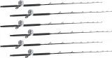 Shimano Talica TAC20BFC / TackleDirect Platinum Hook White Marlin Package w/ 6 Combos
