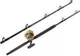 Penn International 50VISX / TackleDirect Platinum Hook Standup Combo