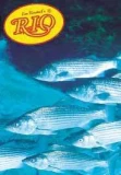 Rio Striped Bass Knotless Leaders