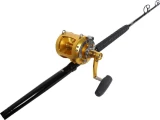 Avet EXW 50/2 Gold / TackleDirect Platinum Hook Standup Combo