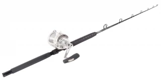 Penn International 50VISXS / TackleDirect Platinum Hook Standup Combo