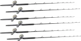 TackleDirect Platinum Hook / Shimano Tyrnos TYR30II White Marlin Package w/ 6 Combos