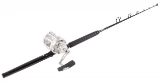 Penn International 50VISWS / TackleDirect Platinum Hook Standup Combo