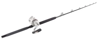 Penn International 30VISXS / TackleDirect Platinum Hook Standup Combo