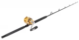 Penn International 30VISX / TackleDirect Platinum Hook Standup Combo